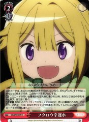 Weiss Schwarz MR/W80-075 Lucky Owl Water U Magia Record: Puella Magi Madoka Magica Side Story