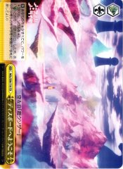 Weiss Schwarz NGL/S58-T10 Welcome to Disboard TD No Game No Life