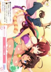 Weiss Schwarz OS04/R04-076 Succubus Girl C Weiss Schwarz Rose