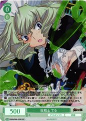 Weiss Schwarz OS09/R09-033S Teru Berserker SR Weiss Schwarz Rose