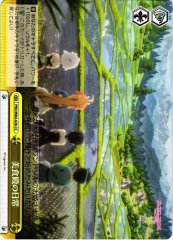 Weiss Schwarz PRD/W84-026 Everyday Life at Gourmet Guild CC Princess Connect! Re:Dive