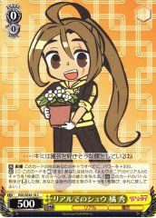 Weiss Schwarz RSK/SE44-18 Shuu Tachibana Shuu in Real Life C RIASEKAI