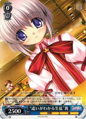 Weiss Schwarz RW/W20-067 Student Who Understands the Differences Kagari U Rewrite