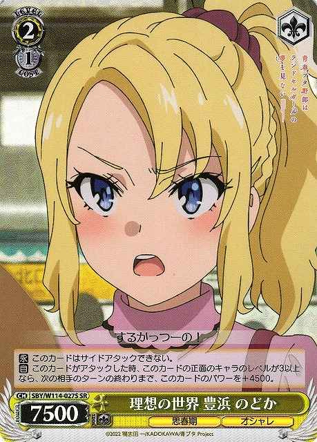 Weiss Schwarz SBY/W114-027S Nodoka Toyohama Ideal World SR Rascal Does Not Dream Series