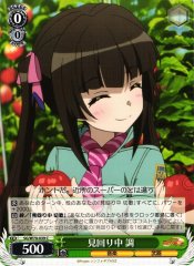 Weiss Schwarz SG/W70-039 Shirabe Looking Around C Symphogear