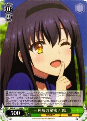 Weiss Schwarz SMP/W137-028 Kamome Secret of the Triangle C Summer Pockets