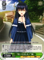 Weiss Schwarz SMP/W60-034 Sorry for the Wait Kamome U Summer Pockets