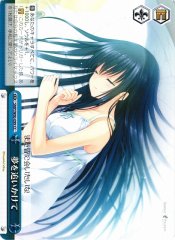 Weiss Schwarz SMP/W60-099 Chasing Dream CC Summer Pockets