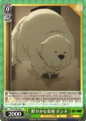 Weiss Schwarz SPY/S106-040 Bond Brilliant Landing U SPY x FAMILY