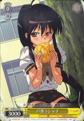 Weiss Schwarz SS/W14-020 Shana Confused C Shakugan no Shana