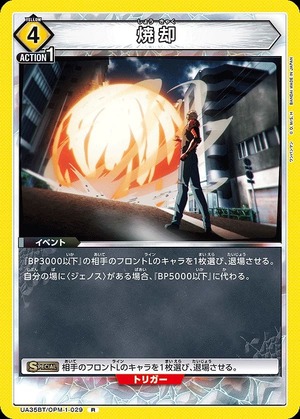 Union Arena UA35BT/OPM-1-029 incineration R