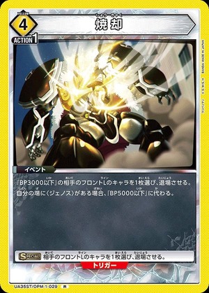 Union Arena UA35ST/OPM-1-029 incineration R