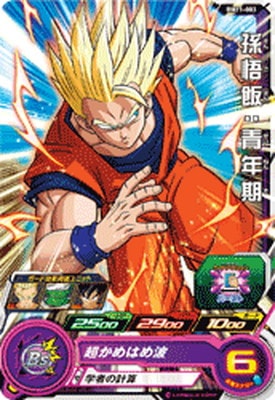 Dragon Ball BM11-003 Son Gohan Adult C