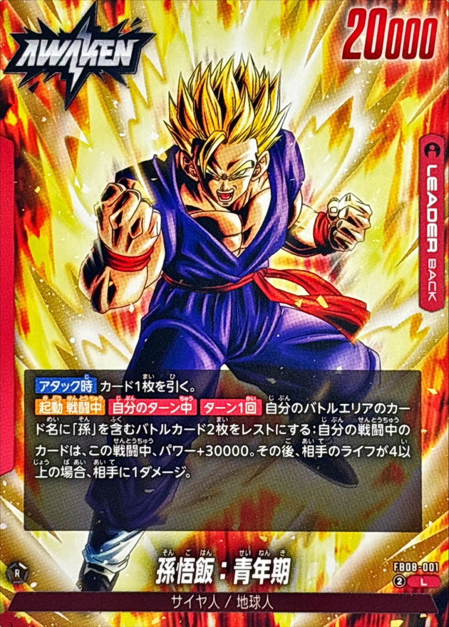 Dragon Ball FB08-001 Gohan Adult L