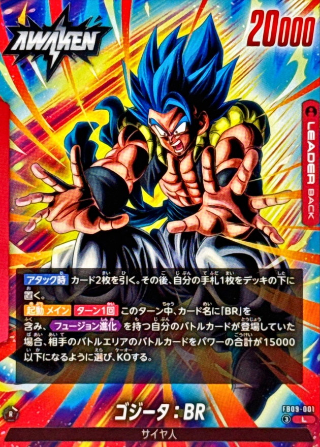 Dragon Ball FB09-001 Gogeta BR L