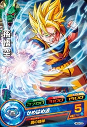 Dragon Ball HG9-02 Son Goku C