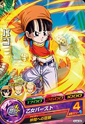 Dragon Ball HJ4-58 Pan C