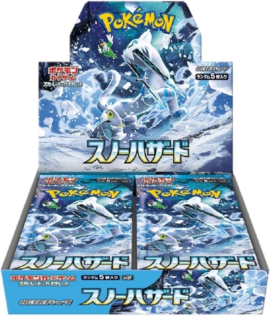 Pokemon Snow Hazard Box