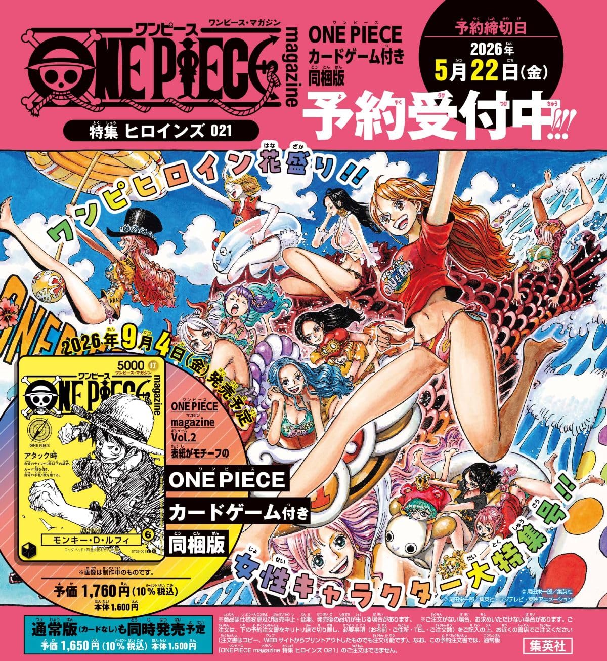 ONE PIECE magazine Vol.21 Special Edition